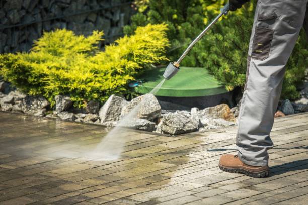 Best Soft Washing for Delicate Surfaces in Carlinvle, IL